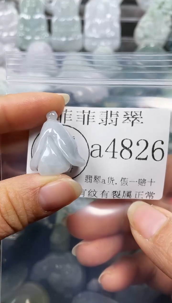 【闪购商品】翡翠颈饰未镶嵌闪购4826