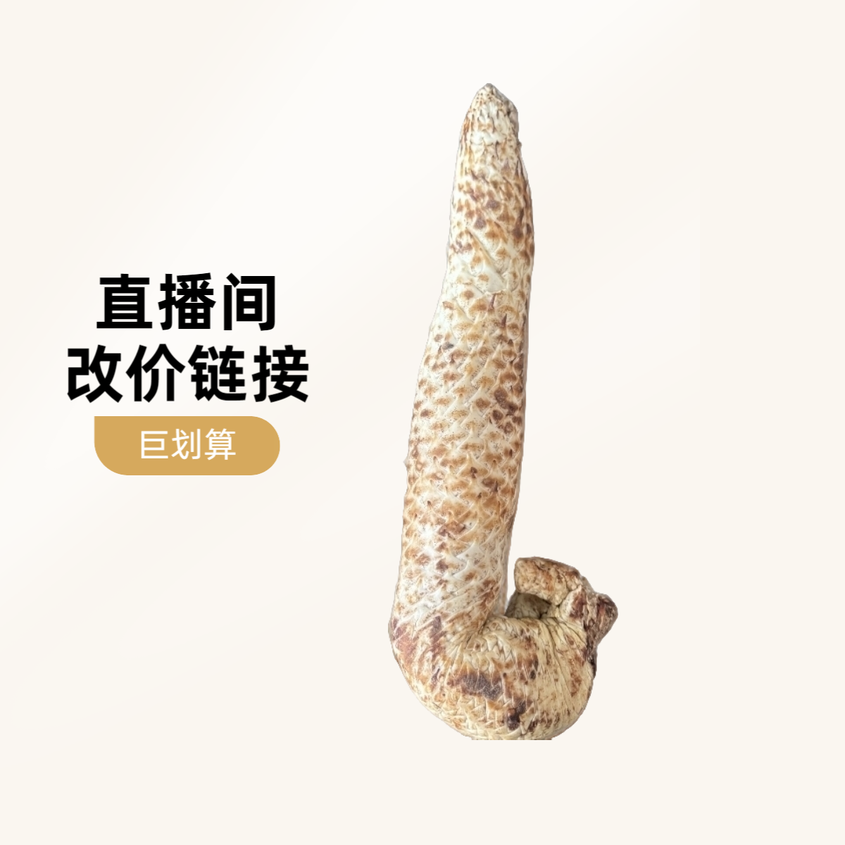 直播间 改价链接