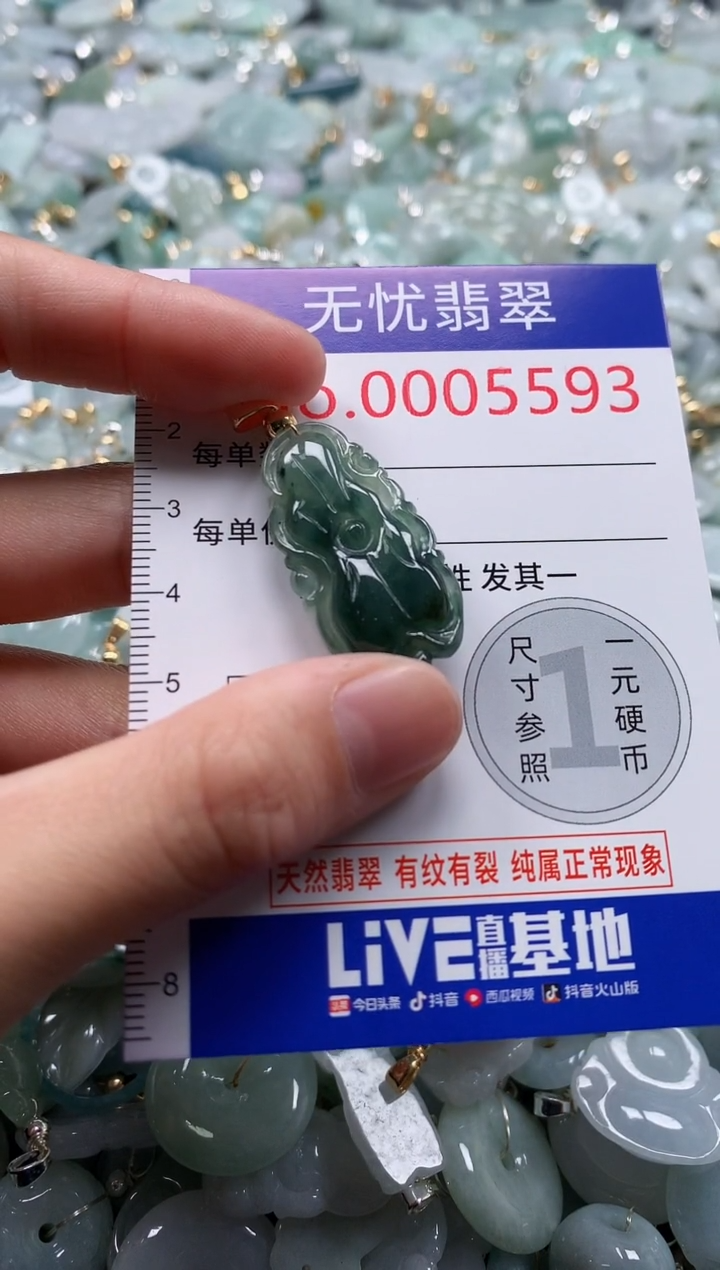 翡翠未镶嵌吊坠(不含链)5593