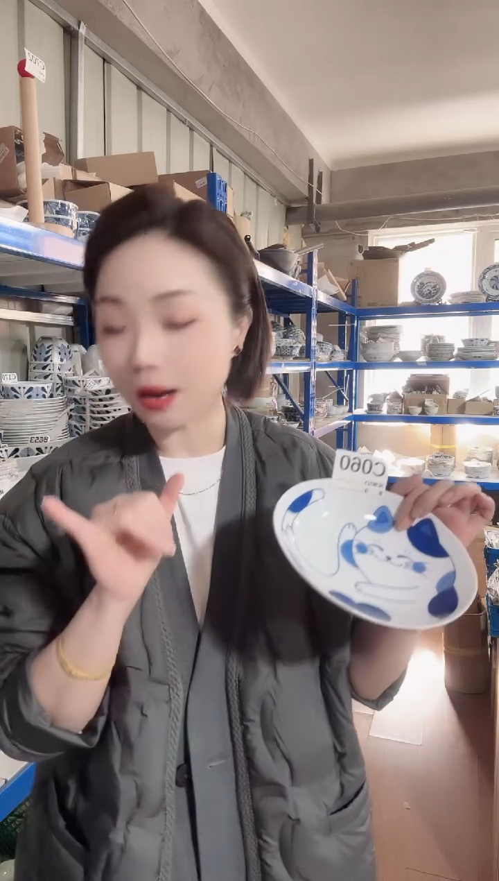 瓷片全新高端瓷器19cm猫咪椭圆盘一只C060