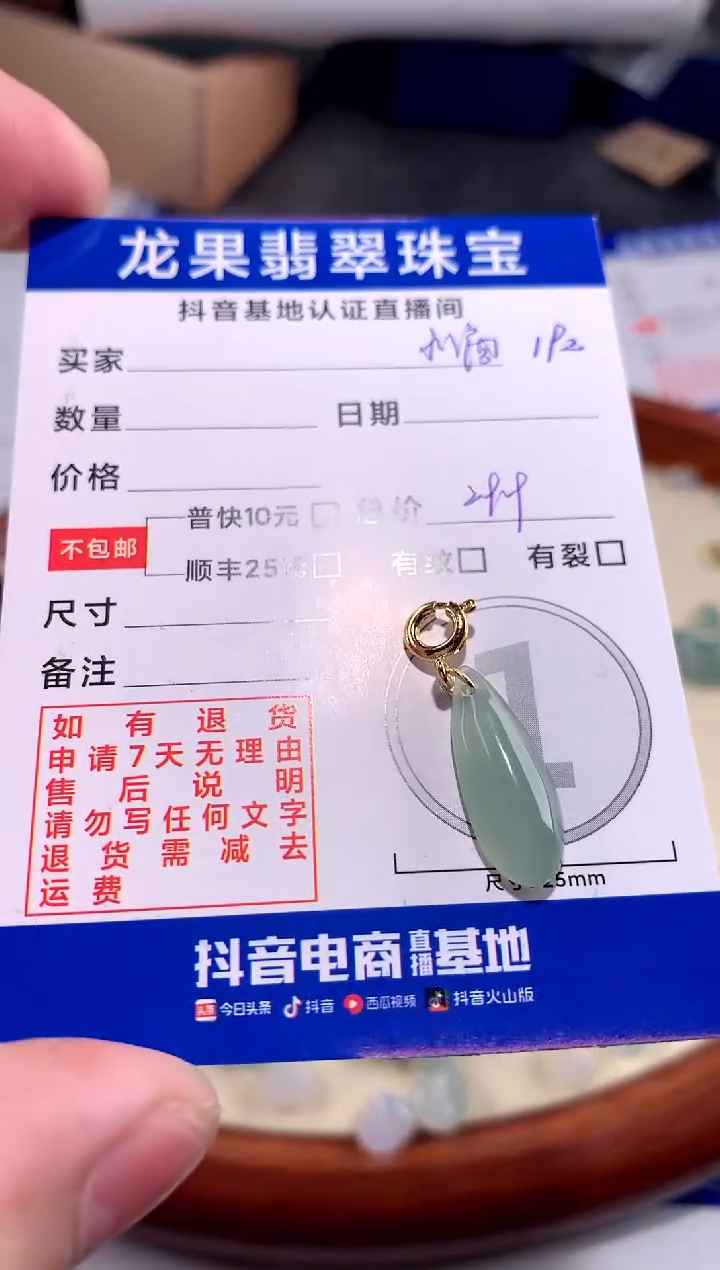 【闪购商品】翡翠颈饰未镶嵌水滴192