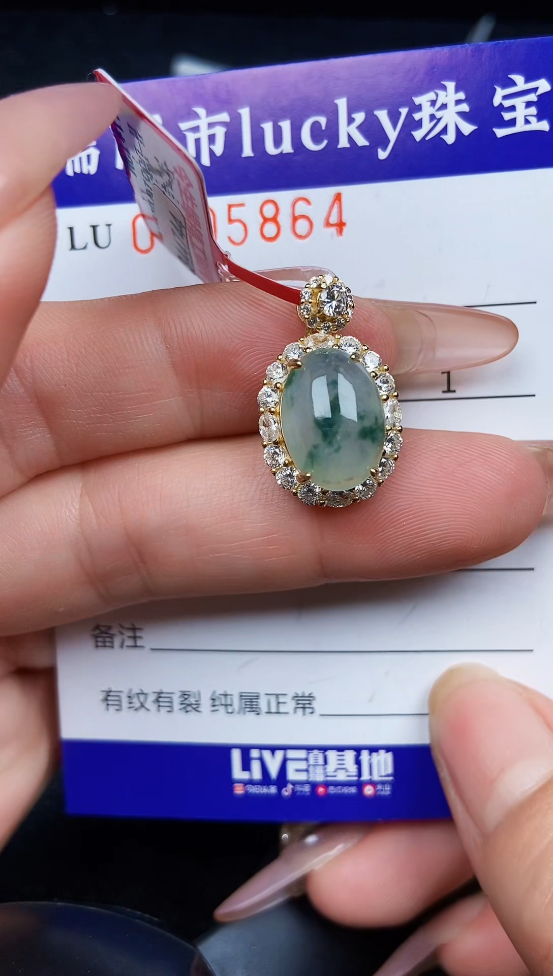 翡翠银S925镶嵌颈饰5864