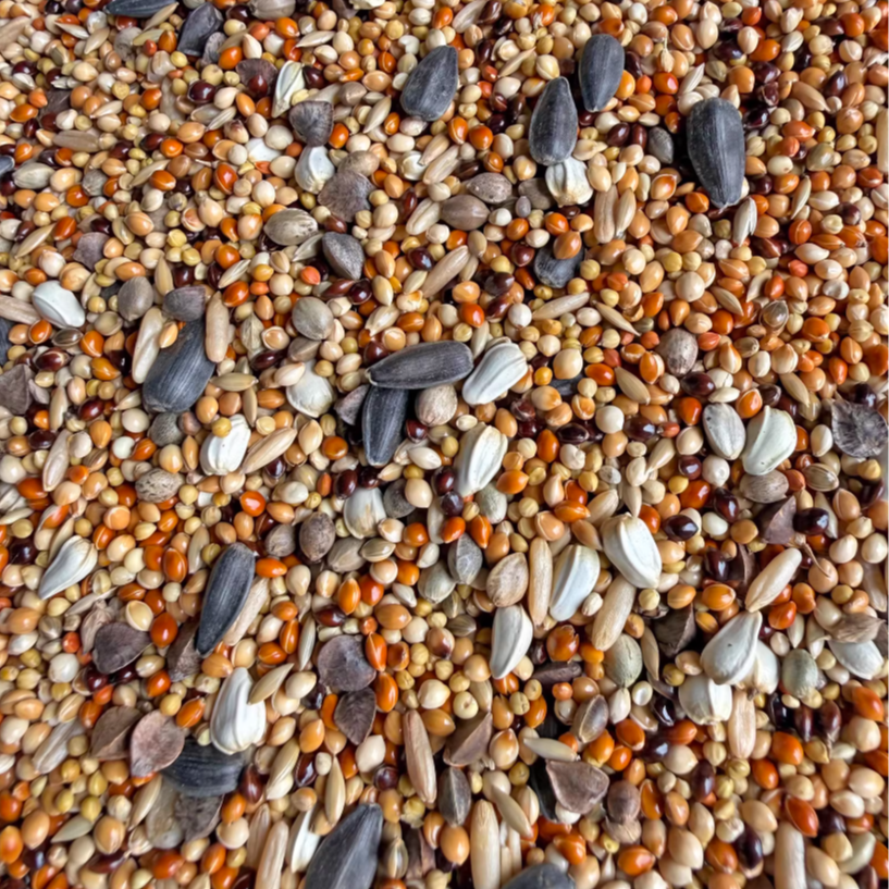 牡丹鹦鹉混合鸟粮含五色黍子谷子