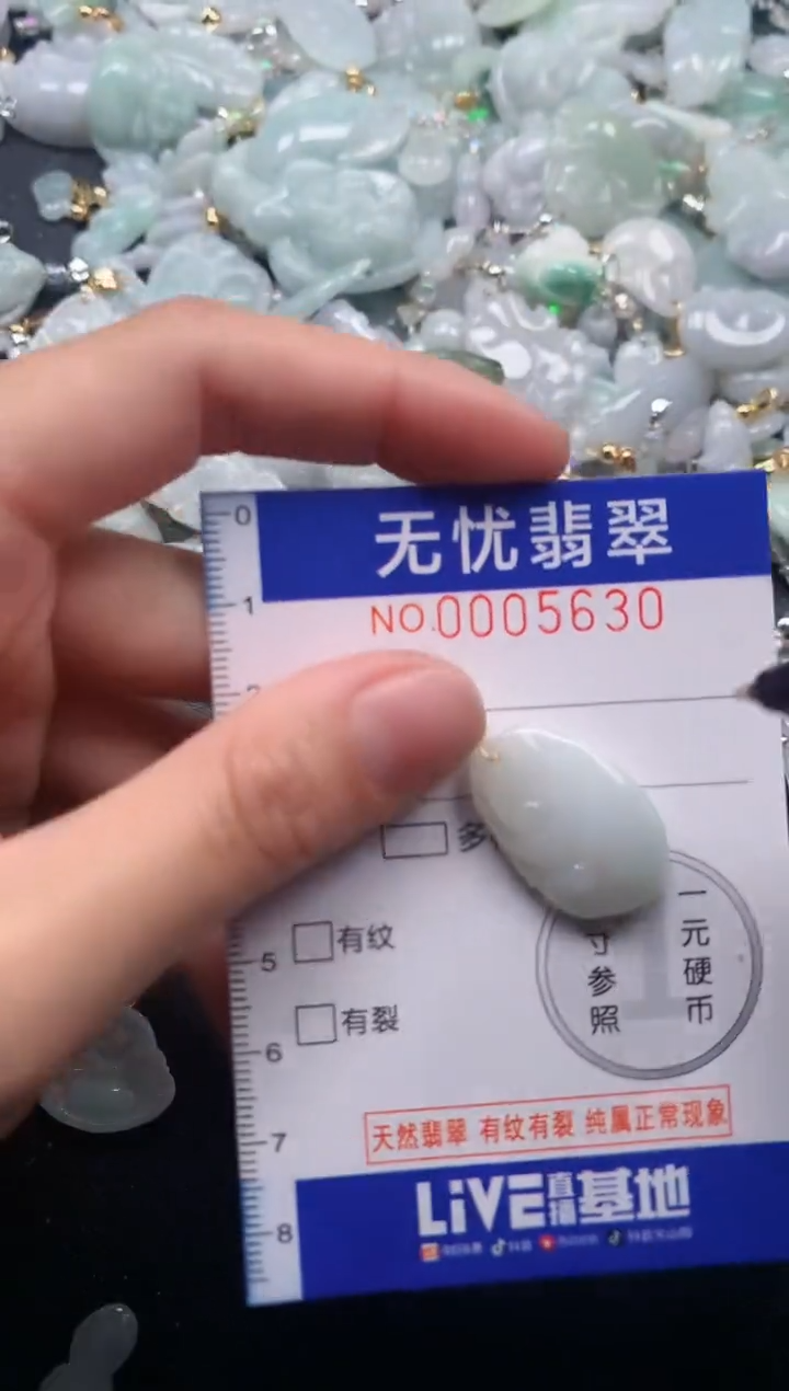 颈饰未镶嵌翡翠5630