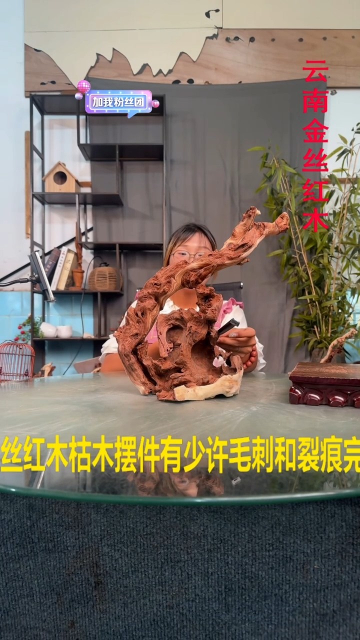 木猫*金丝红木金丝红木H250