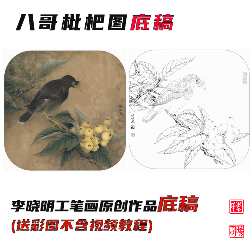 《八哥枇杷图》底稿 李晓明工笔画原创线稿（含A3彩图）送电子步骤图