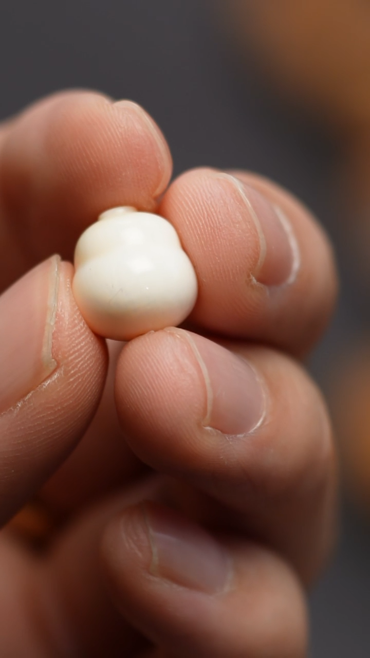 吊坠猴头核桃猛犸