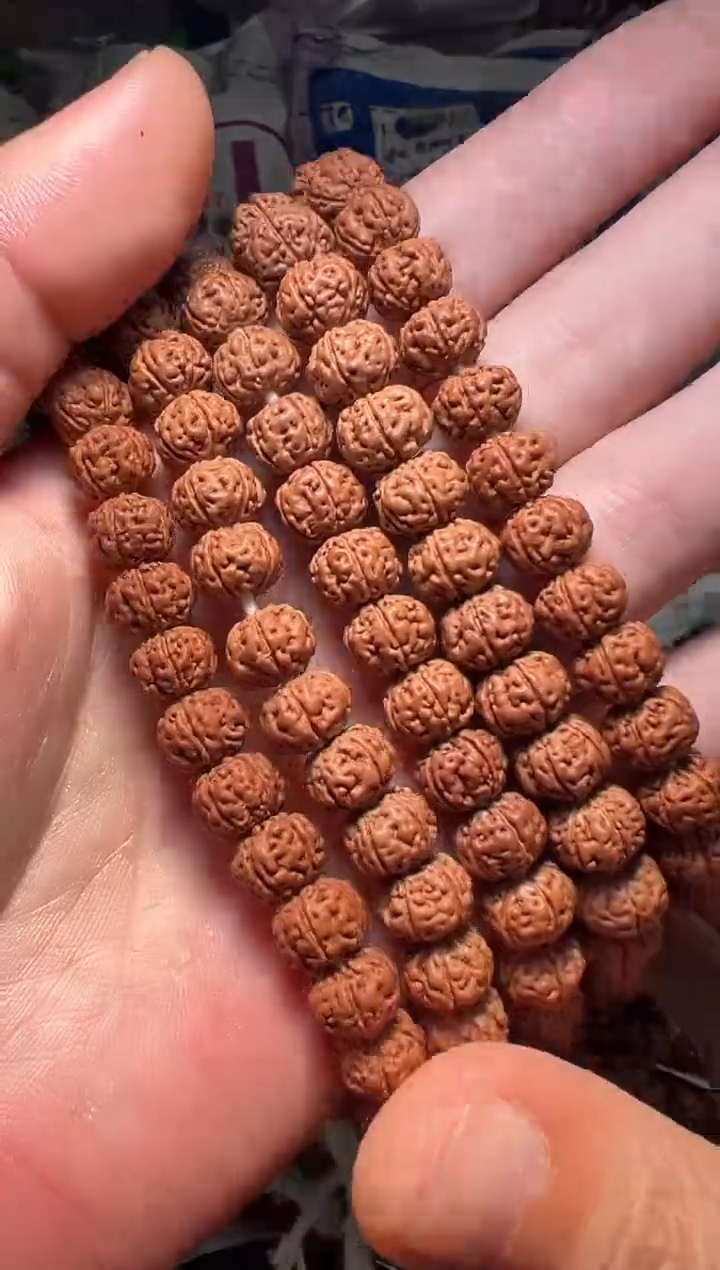 手串金刚菩提无利润超头精挑老树王手持-10mm