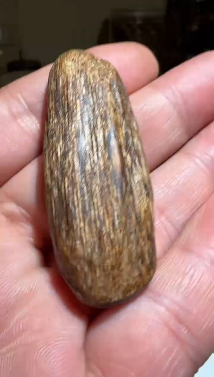 【闪购商品】沉香手把件东马软丝4克