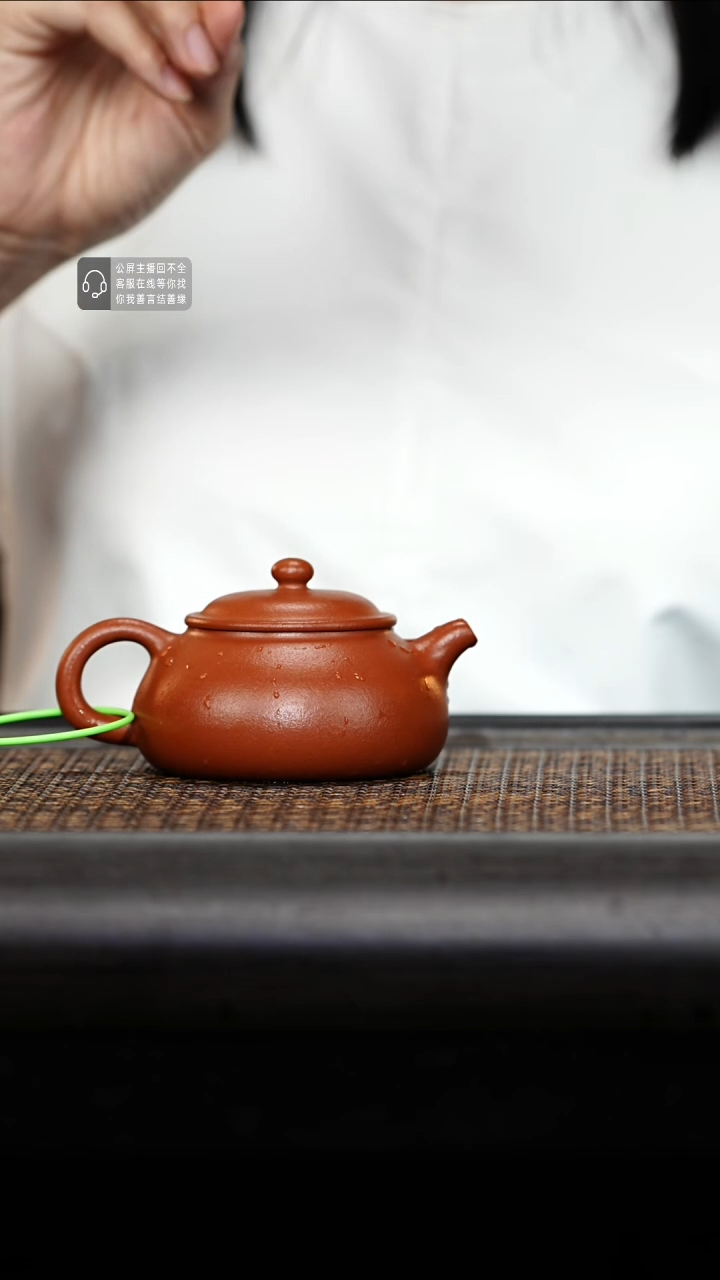 茶壶紫砂紫砂茶壶纳福