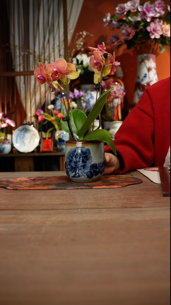 当代高温釉下彩手绘陶瓷餐具