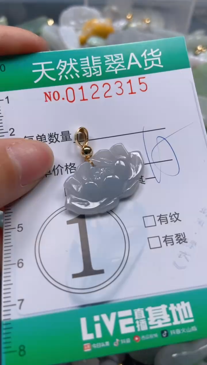 翡翠未镶嵌颈饰闪购0122315