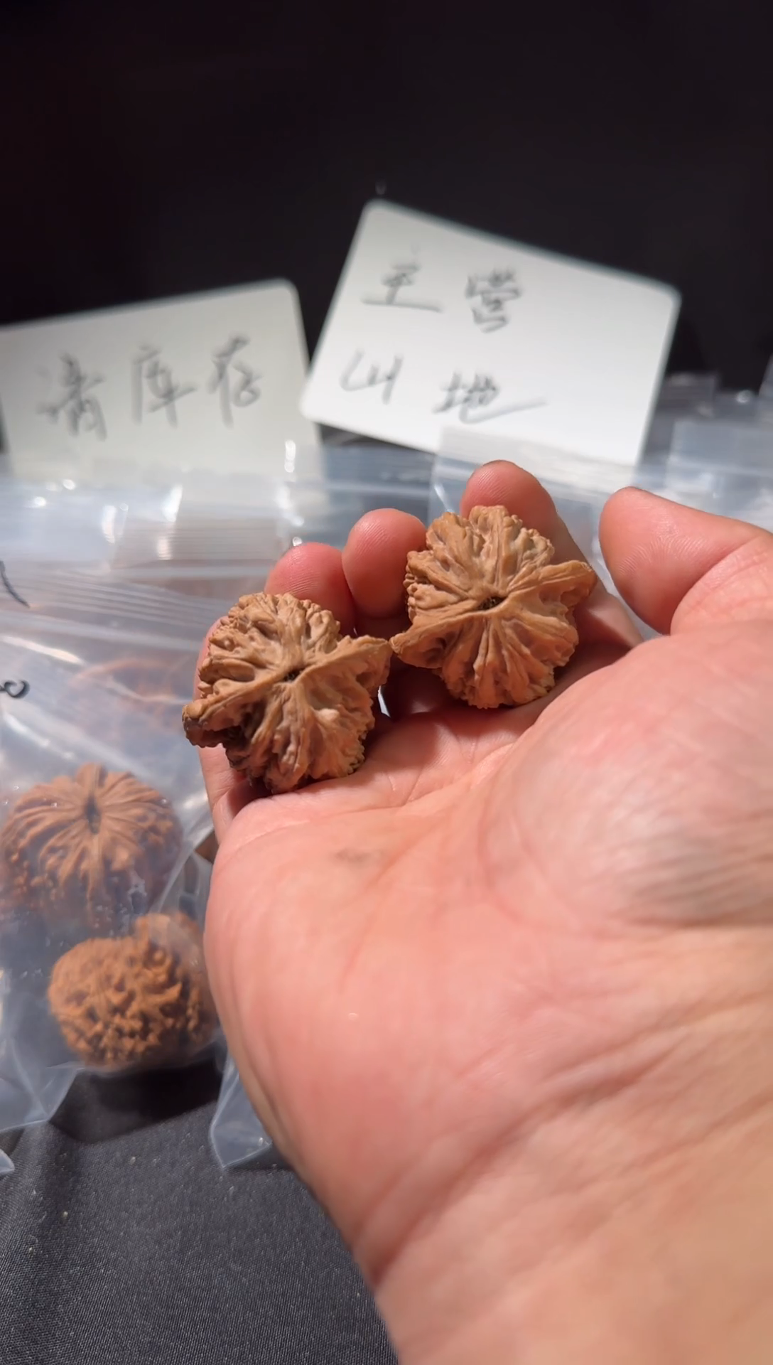 把件文玩核桃汉高山虎头