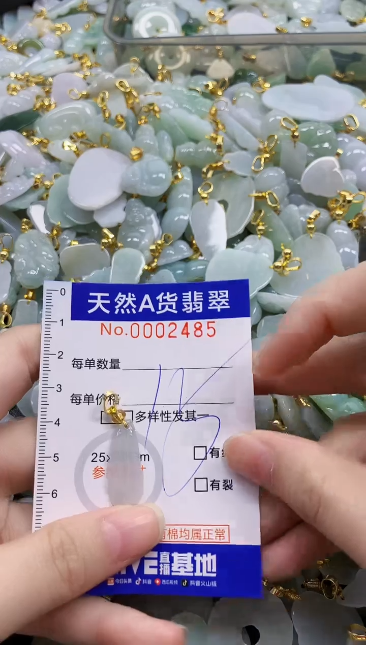 颈饰未镶嵌翡翠天然A货翡翠