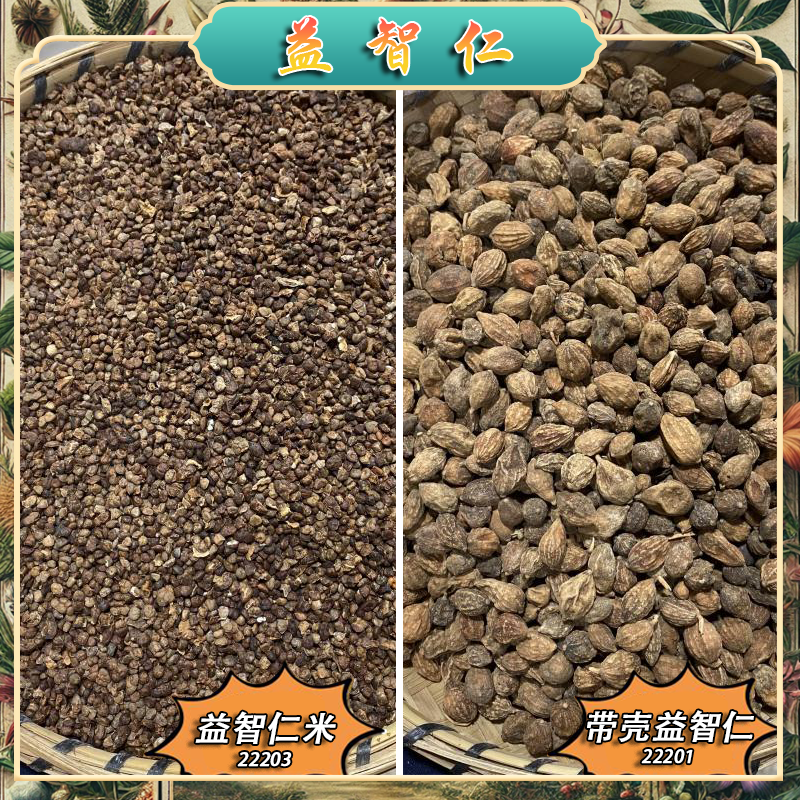 益智仁中药材散装益智米益智仁泡水专用当季新货药材农家生晒  