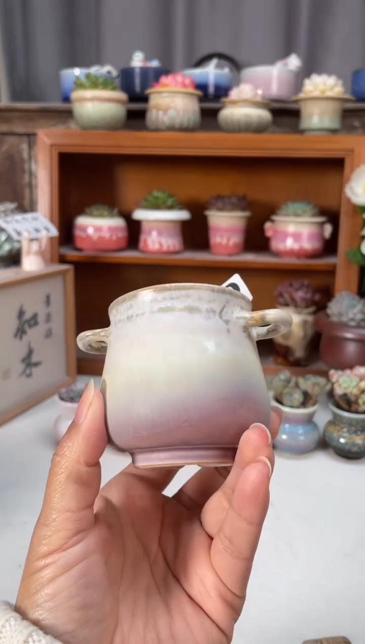 瓷片150知木小芳花盆编号