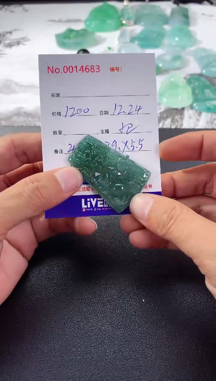 颈饰未镶嵌翡翠龙牌