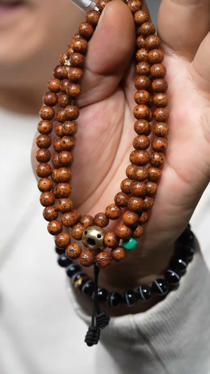 【闪购商品】老星月（多样性发货，发其一）