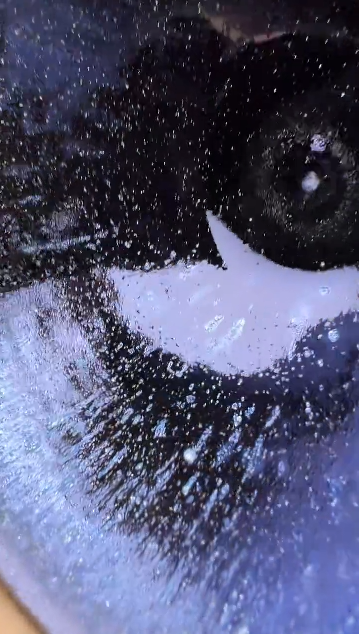 茶盏28朱秋敏龙窑开窑现场329