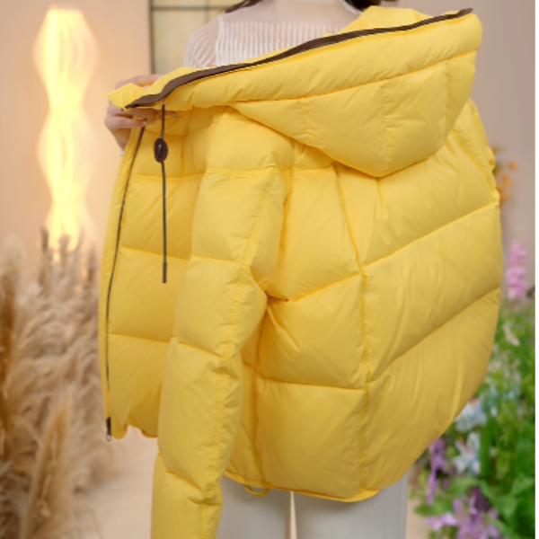 刘七七-2025保暖时尚爆款羽绒服W55Q42277