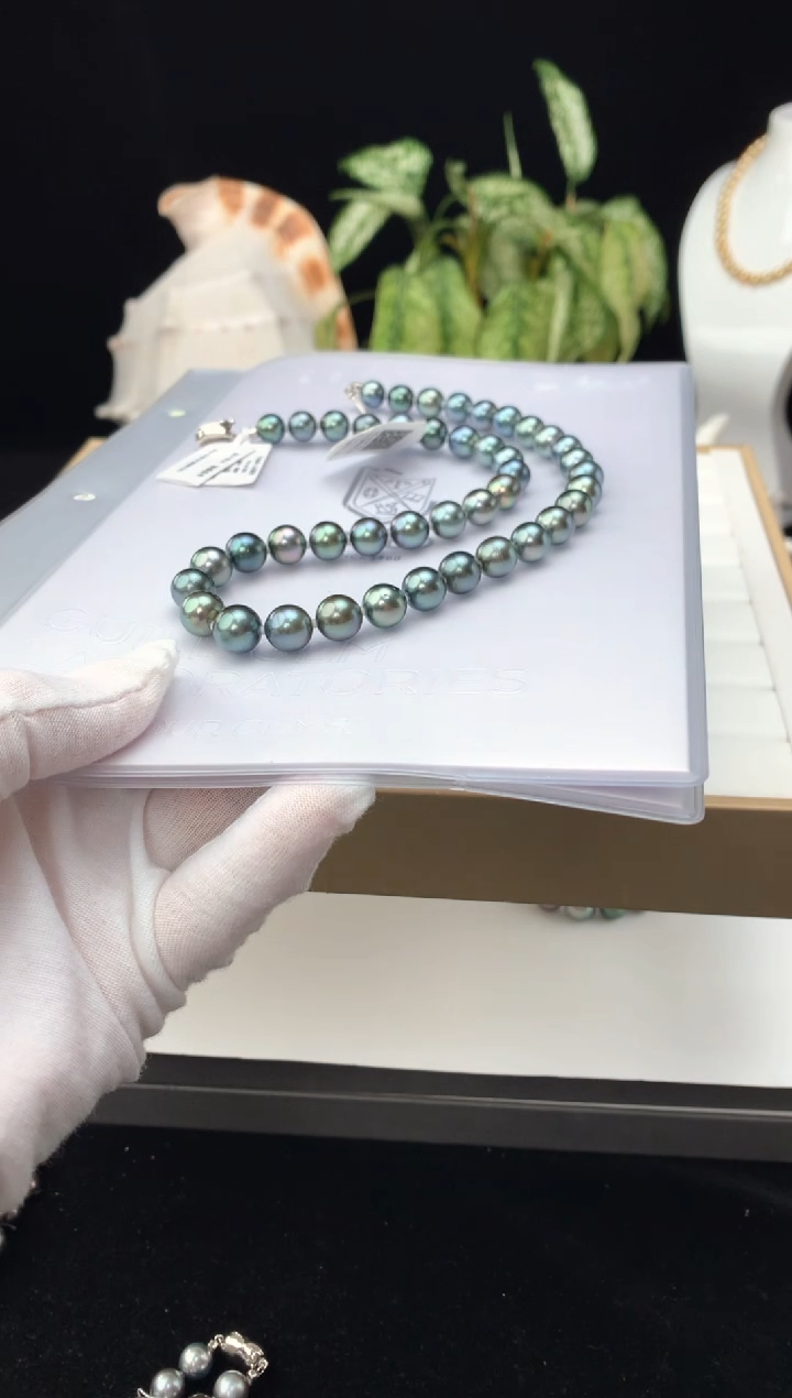 【闪购商品】海水珍珠颈饰银S925镶嵌海水大溪地珍珠项链