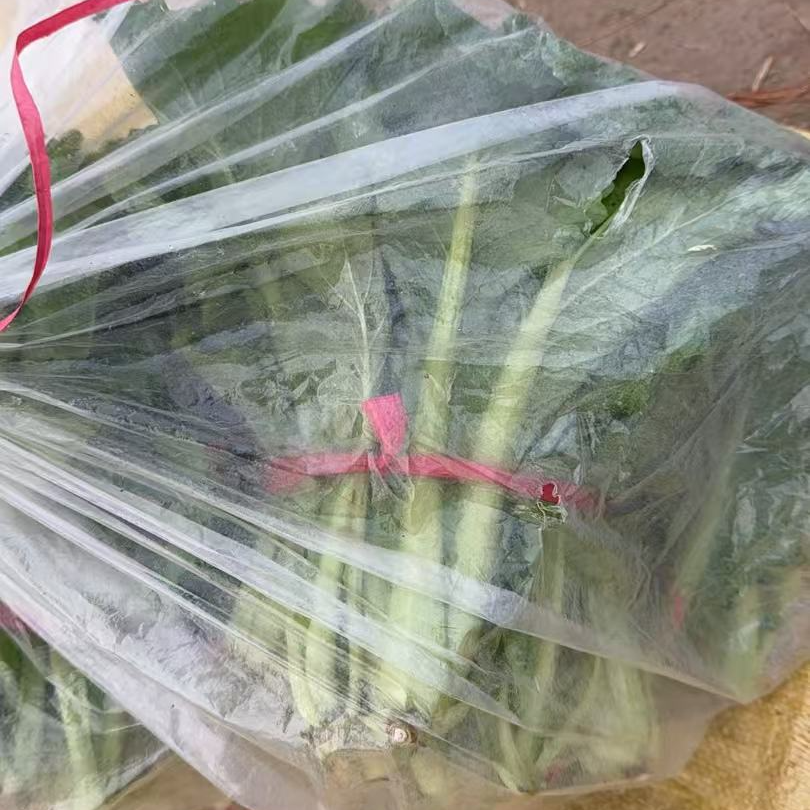 【中国供销】青麻叶白菜 长杆青菜L