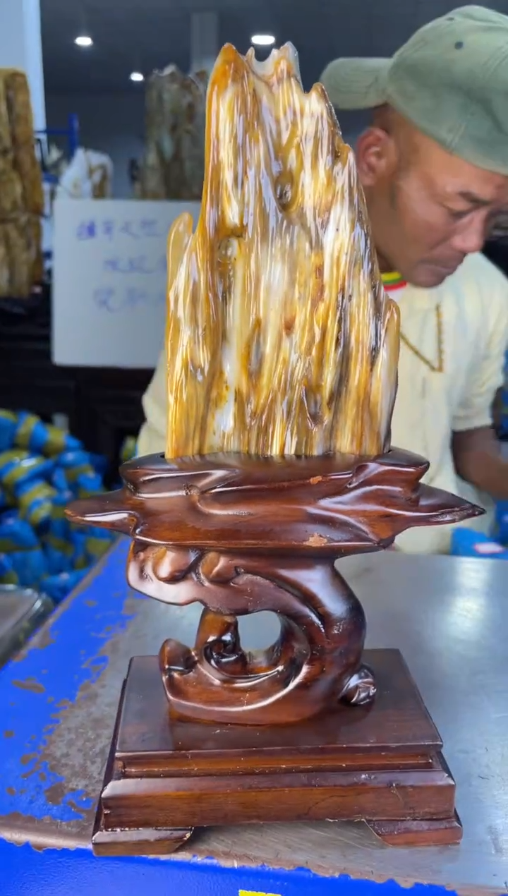 未镶嵌摆件硅化玉9