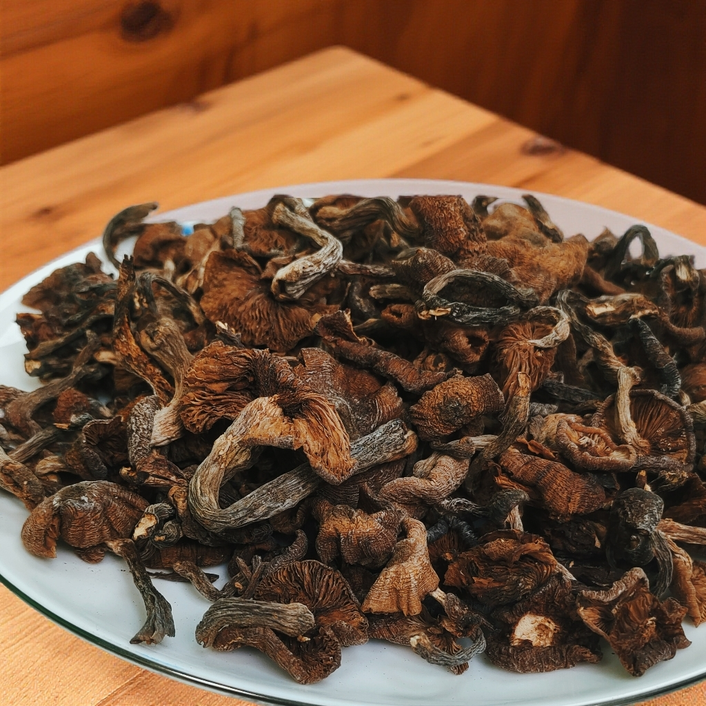 白草洼野生榛蘑干货煲汤炖鸡炒菜必备山货山珍