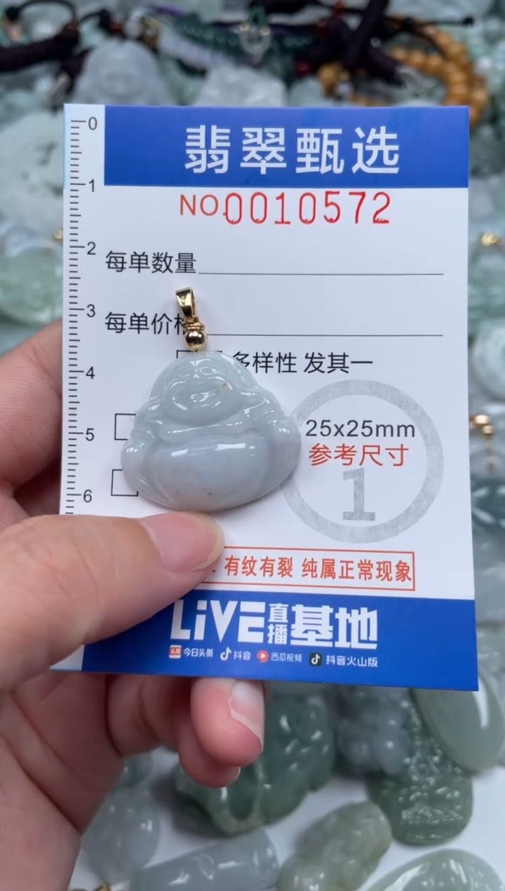 颈饰未镶嵌翡翠10572