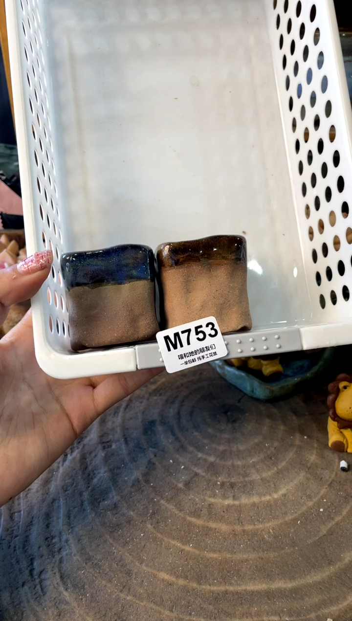 红**幕753【多肉花盆多肉盆】