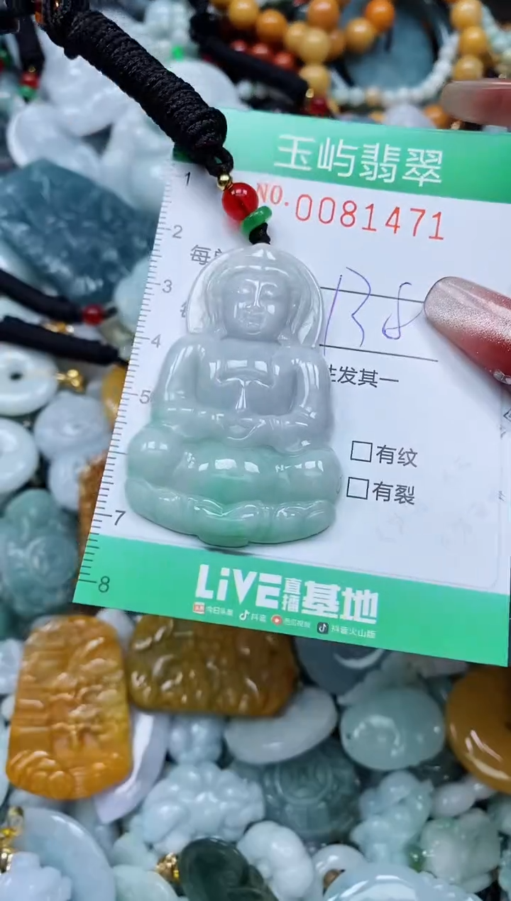 【闪购商品】翡翠颈饰未镶嵌闪购0081471