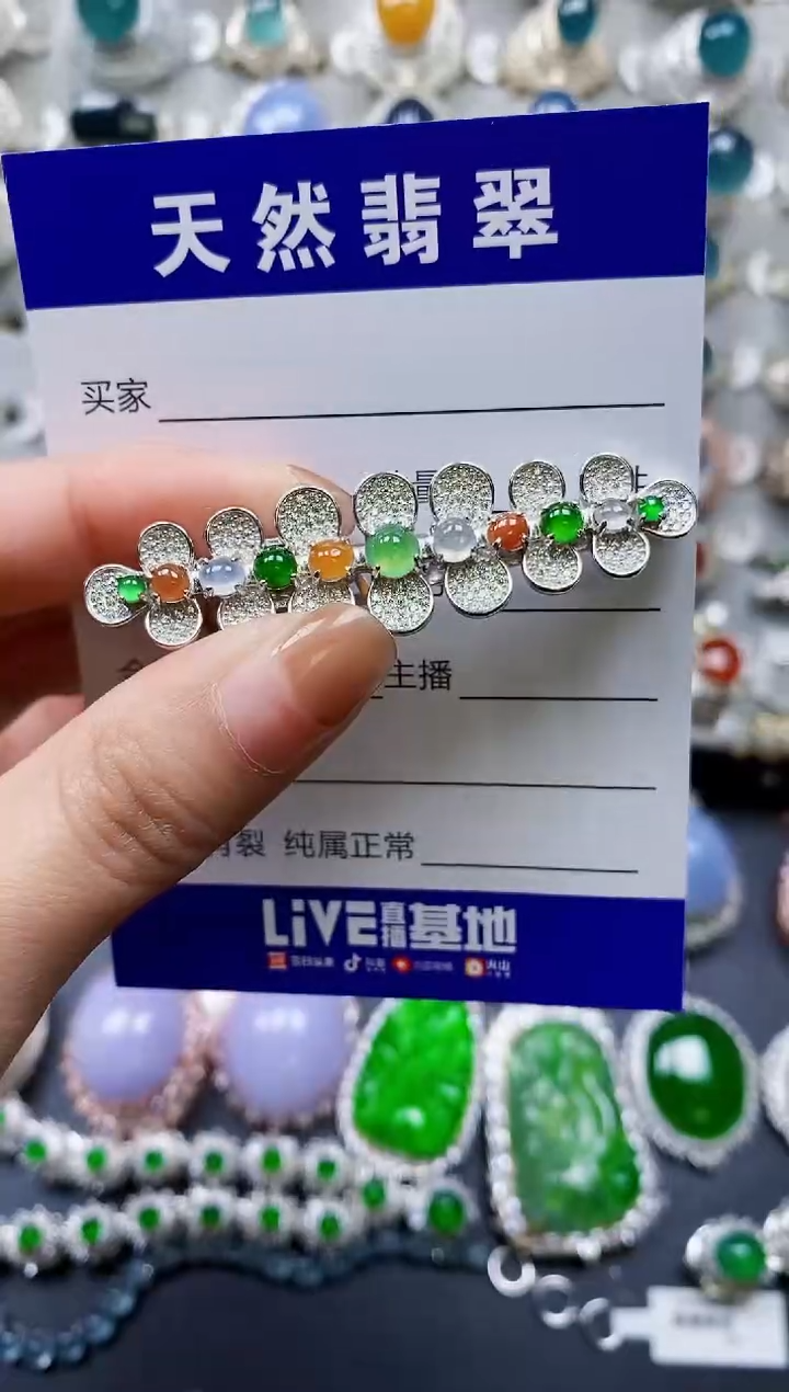 【闪购商品】翡翠颈饰银S925镶嵌0218