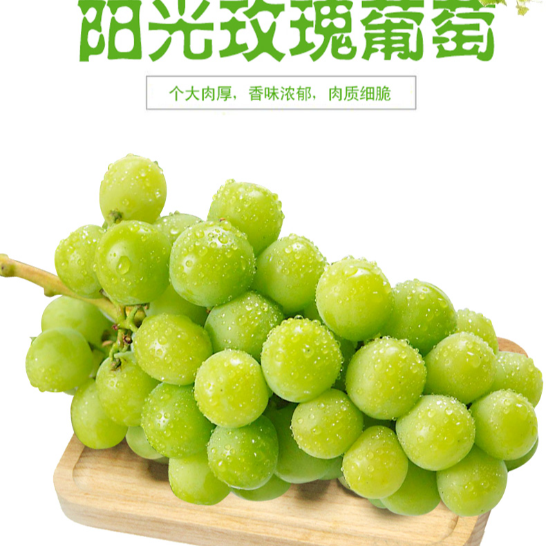 【阳光玫瑰】*1串 1斤辽宁省