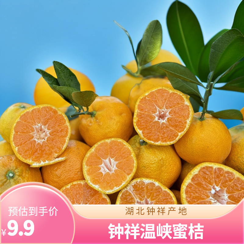 【粉丝福利】钟祥张集蜜桔10斤 同城配送湖北省