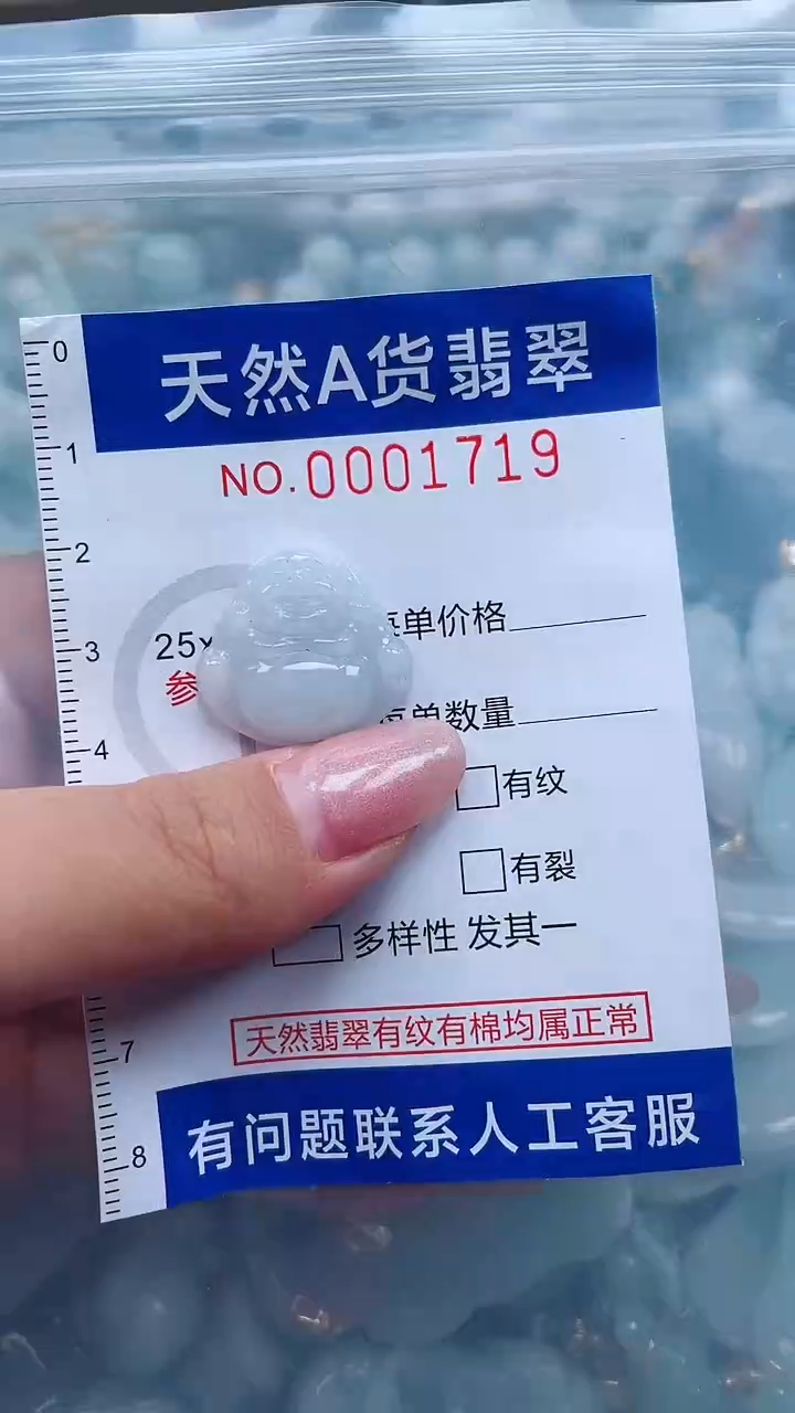 翡翠未镶嵌吊坠(不含链)q 