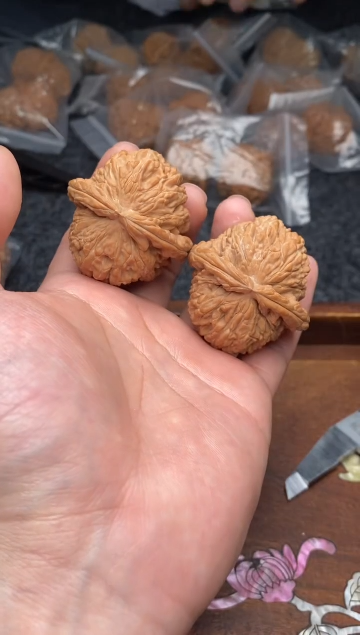 【闪购商品】文玩核桃把件G209号43尺白狮子