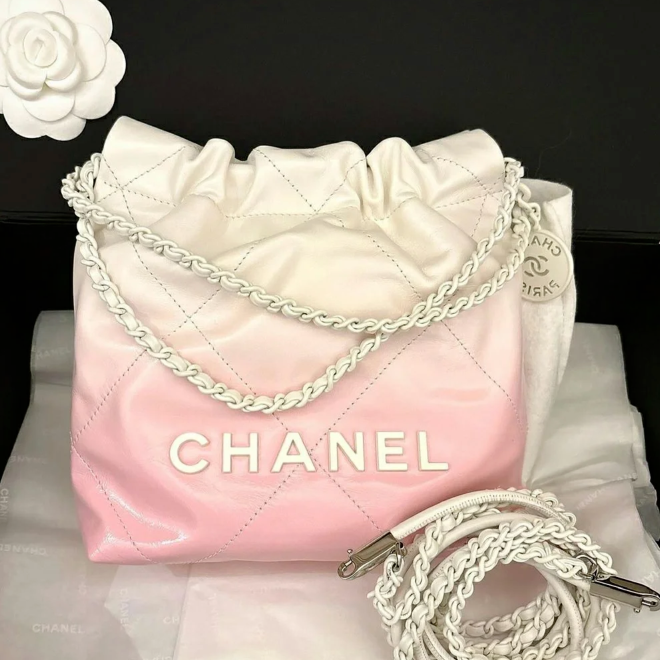 99新 Chanel/香奈儿 小花攀攀24C 22Bag Tote Mini 渐变色 芯片