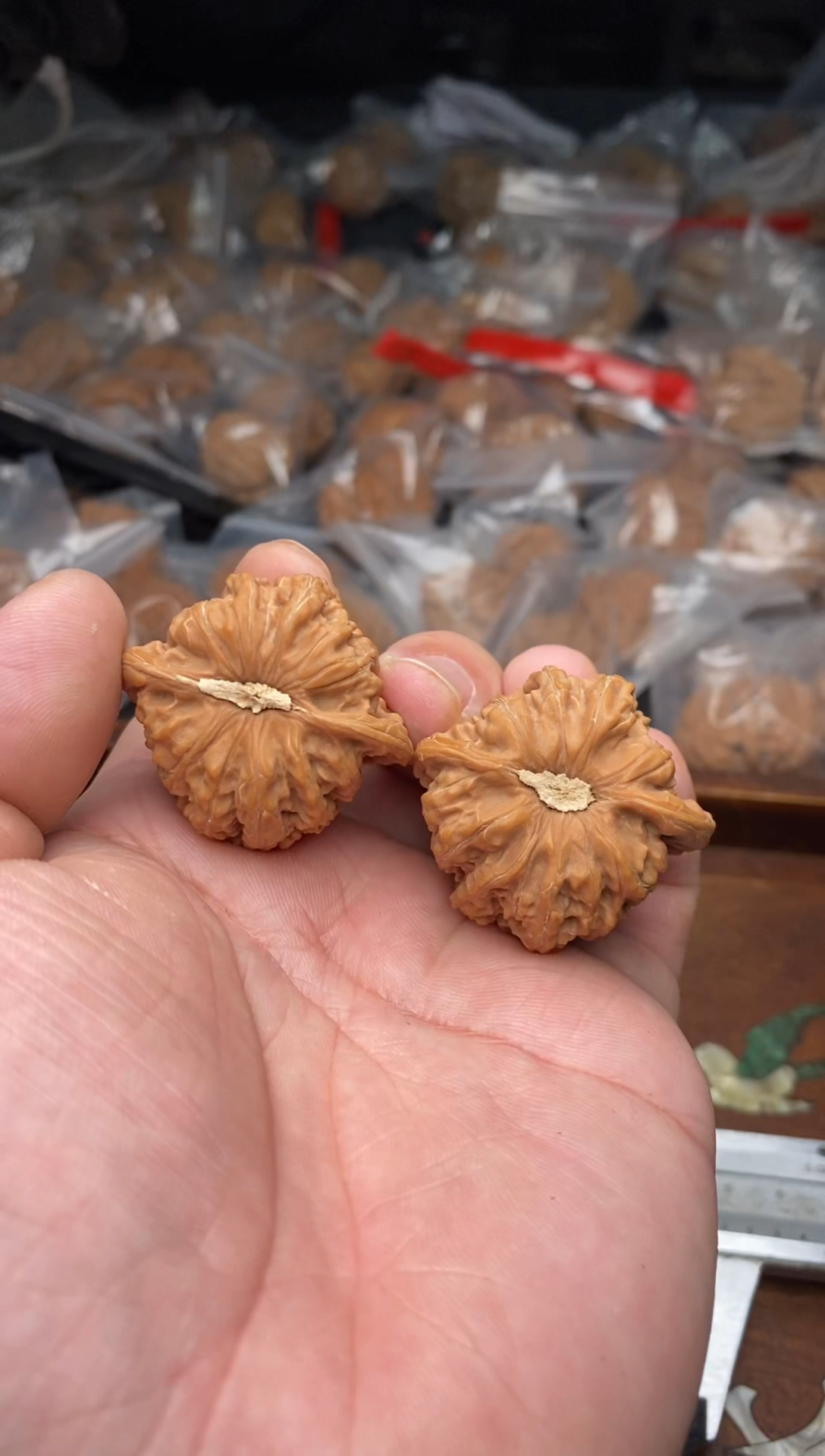 【闪购商品】文玩核桃把件B88号38尺密文