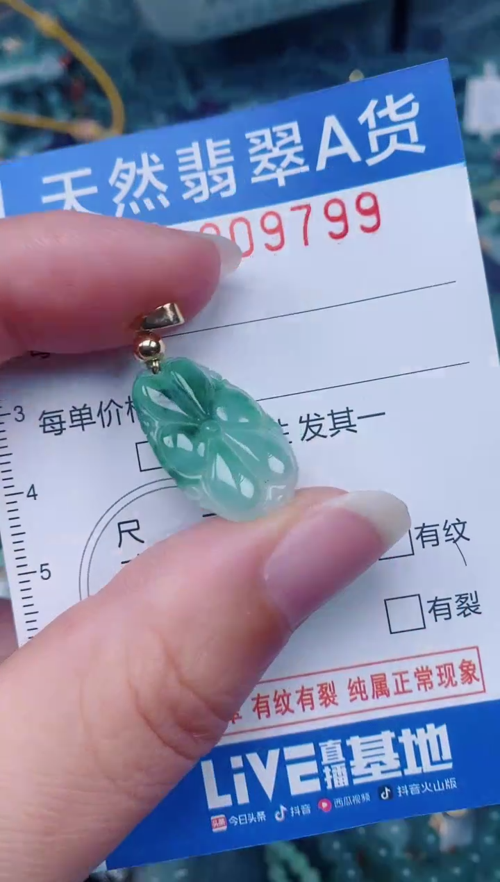 颈饰未镶嵌翡翠00009799