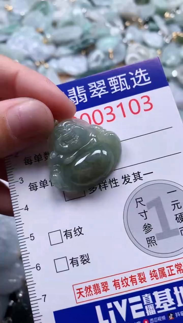 翡翠未镶嵌吊坠(不含链)3103