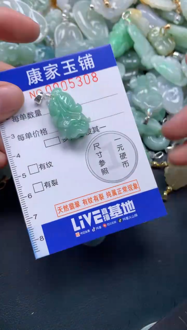 颈饰未镶嵌翡翠5308