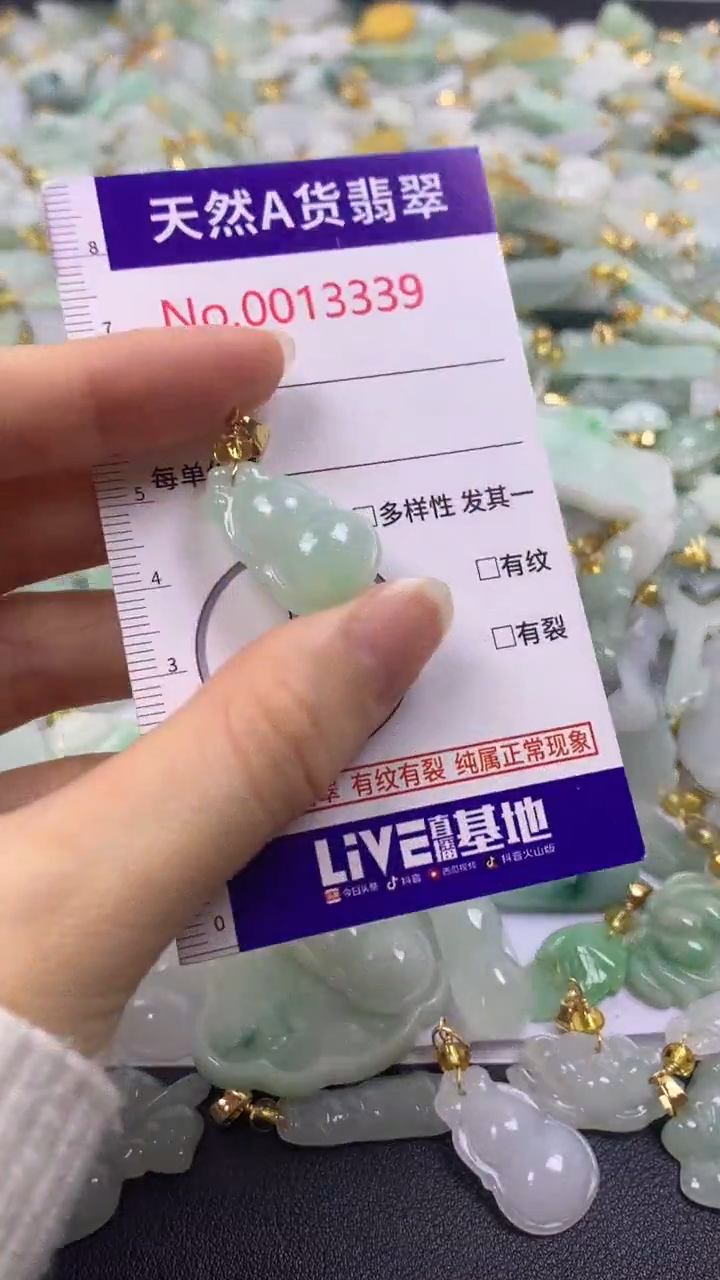 颈饰未镶嵌翡翠1