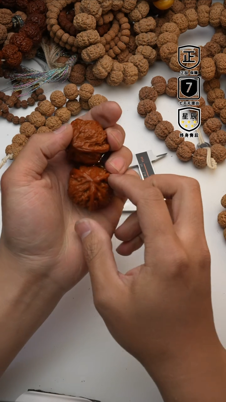 【闪购商品】金刚菩提吊坠8288888888