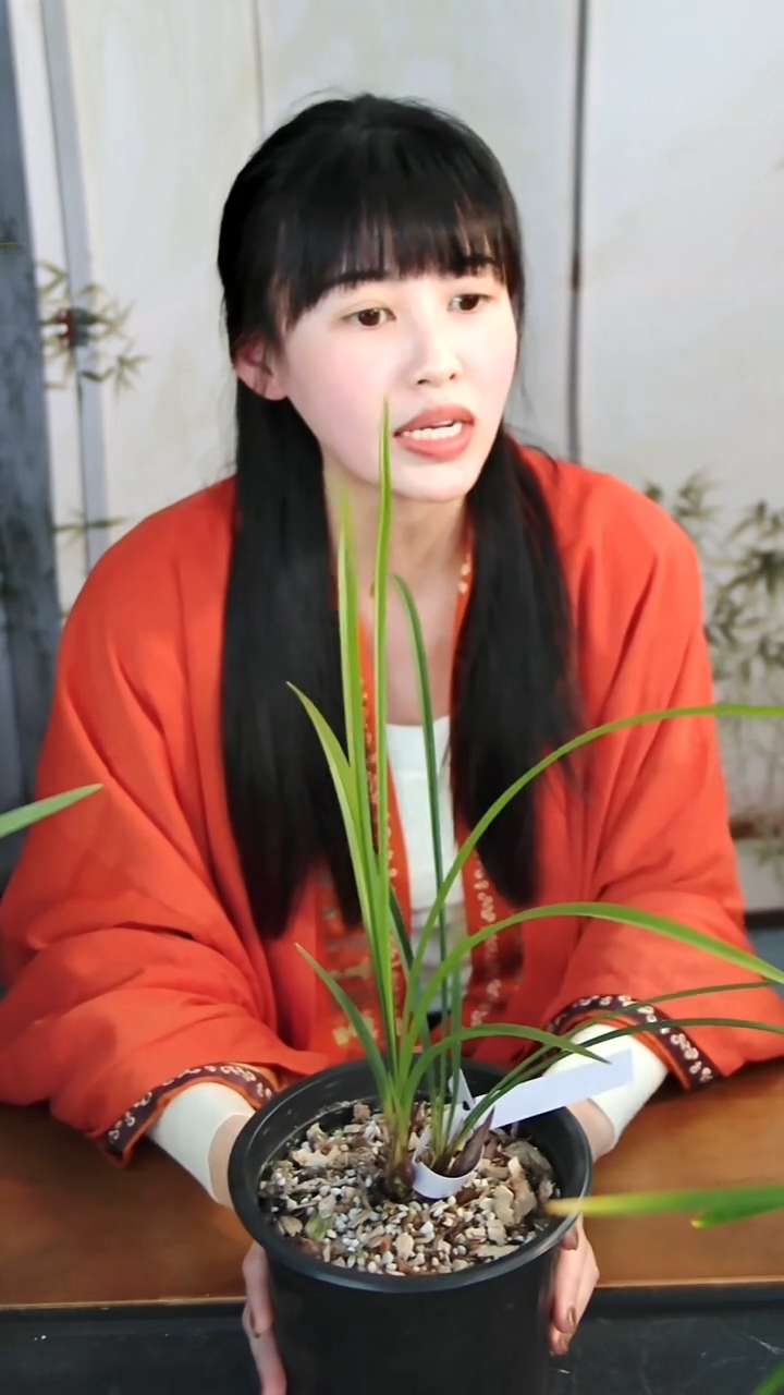 无花朵冠神一物一拍