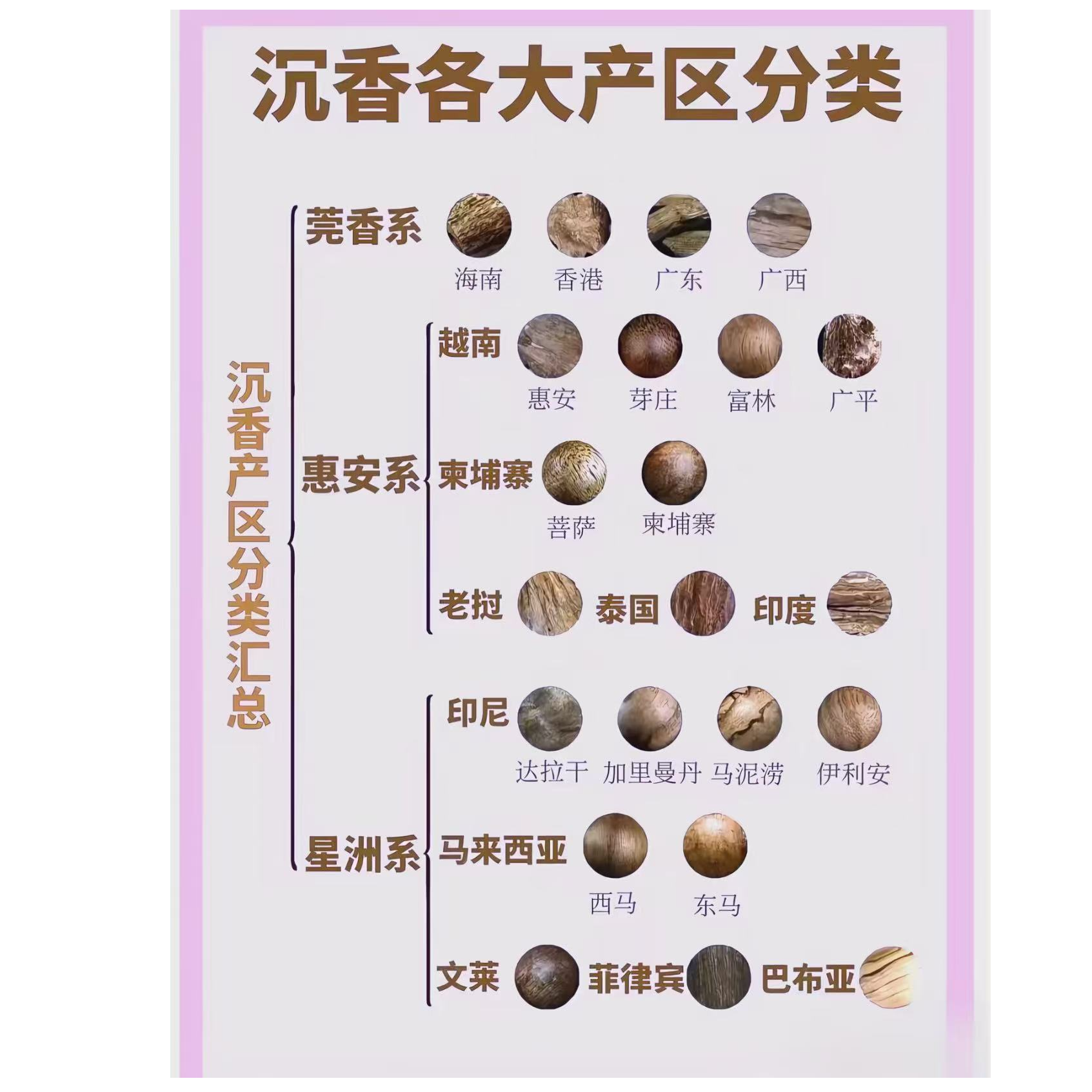 沉香蚁王--精品精选好物A18