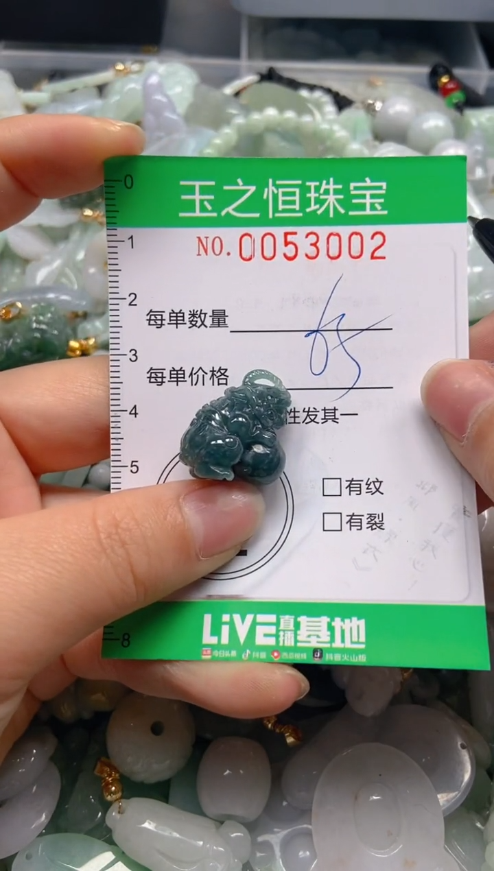 【闪购商品】翡翠颈饰未镶嵌闪购0053002