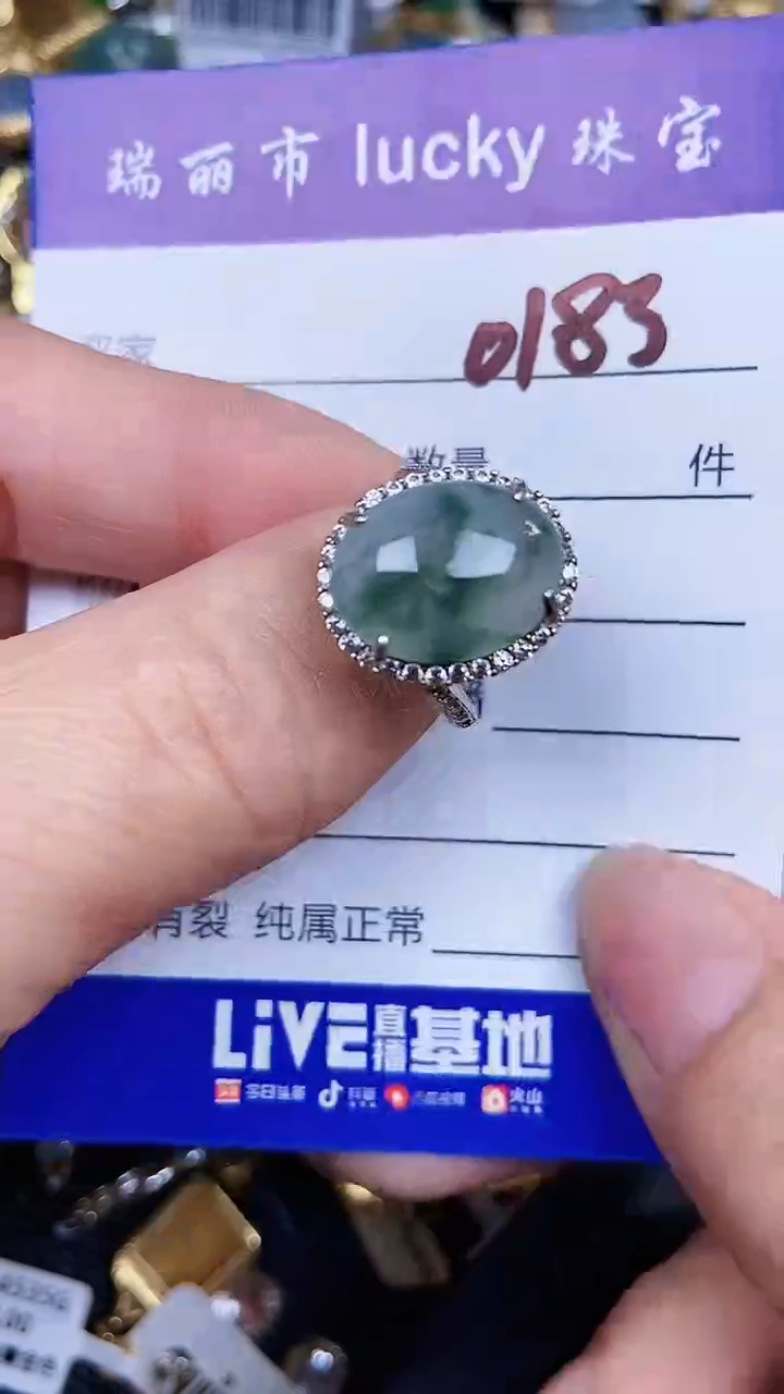 颈饰银S925镶嵌翡翠0183