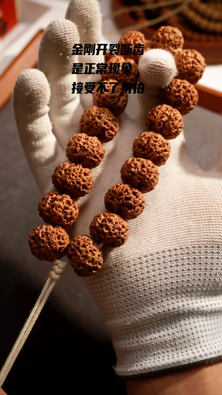 【闪购商品】金刚菩提手串五星终结者20