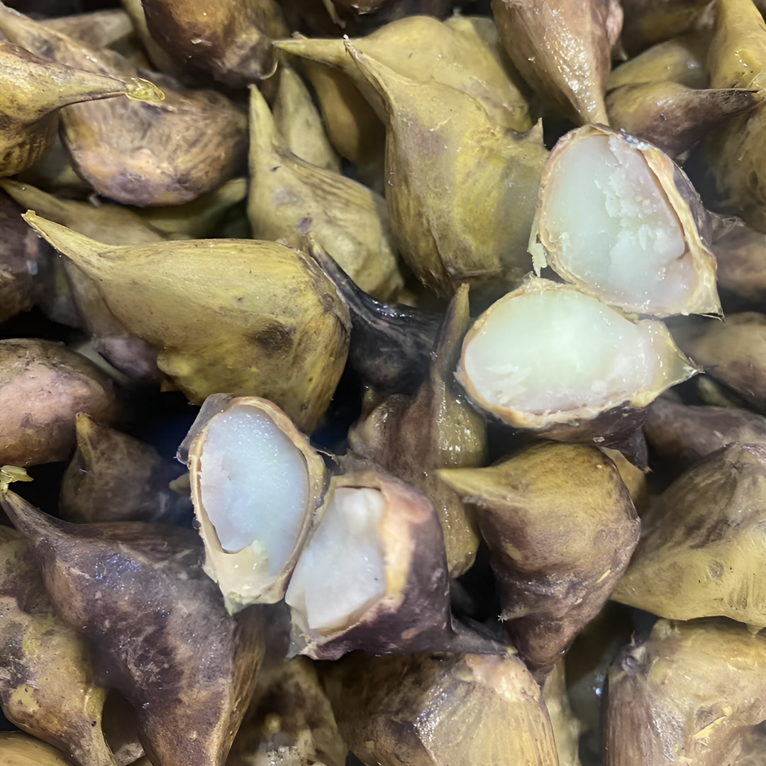 【2025新鲜薄壳菱角】河南信阳特产两角白菱野生小河菱老菱角粉糯甜