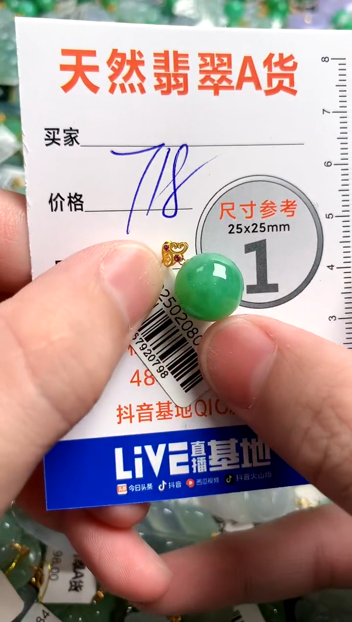【闪购商品】翡翠颈饰18K金镶嵌0816205561